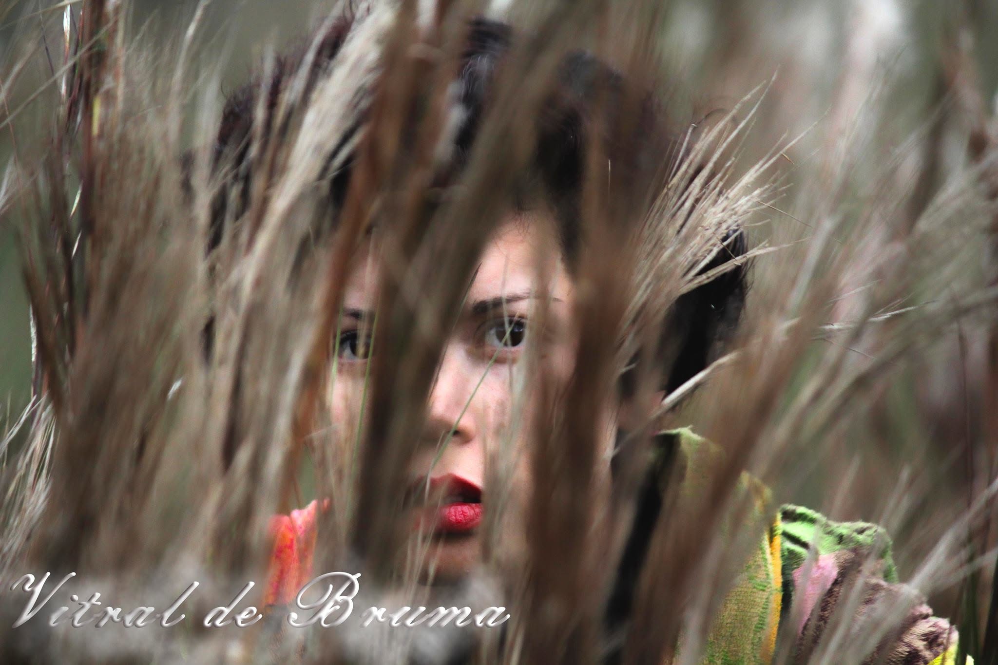 VITRAL DE BRUMA - Liliana Velandia